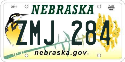 NE license plate ZMJ284