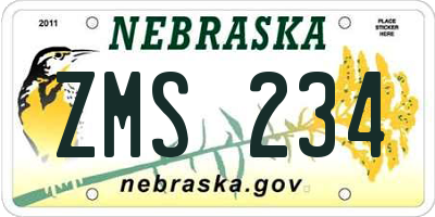 NE license plate ZMS234