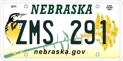 NE license plate ZMS291