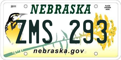 NE license plate ZMS293