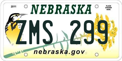 NE license plate ZMS299
