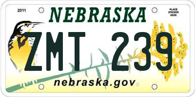 NE license plate ZMT239