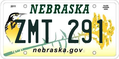 NE license plate ZMT291