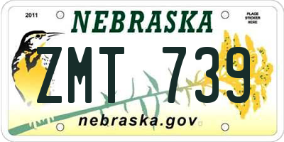 NE license plate ZMT739