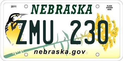 NE license plate ZMU230