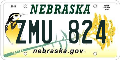 NE license plate ZMU824