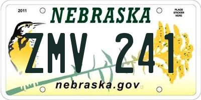 NE license plate ZMV241