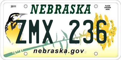 NE license plate ZMX236