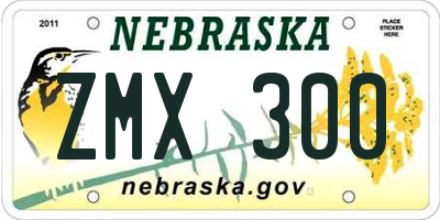 NE license plate ZMX300