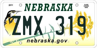 NE license plate ZMX319