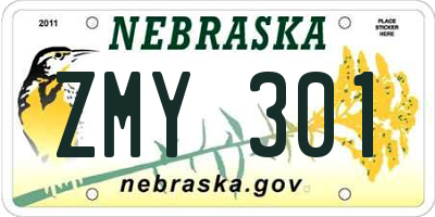 NE license plate ZMY301