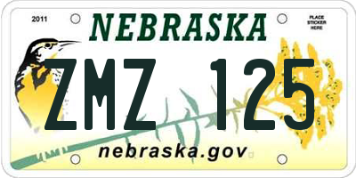 NE license plate ZMZ125