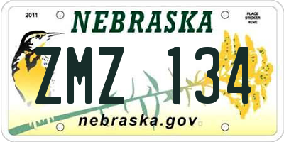 NE license plate ZMZ134