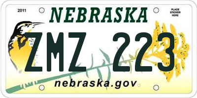 NE license plate ZMZ223