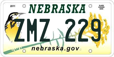 NE license plate ZMZ229