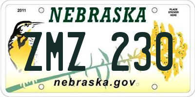 NE license plate ZMZ230