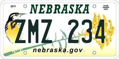 NE license plate ZMZ234
