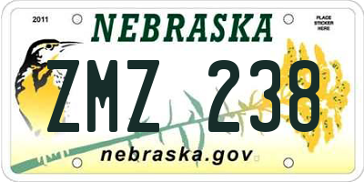 NE license plate ZMZ238