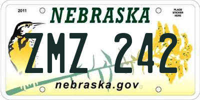 NE license plate ZMZ242