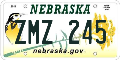 NE license plate ZMZ245