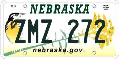 NE license plate ZMZ272