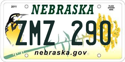 NE license plate ZMZ290