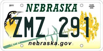 NE license plate ZMZ291