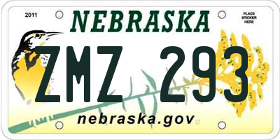 NE license plate ZMZ293