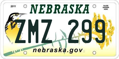 NE license plate ZMZ299