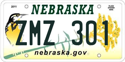 NE license plate ZMZ301