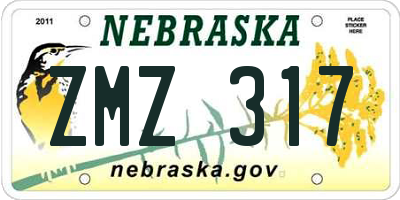 NE license plate ZMZ317