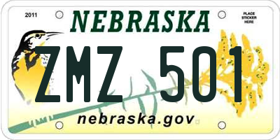 NE license plate ZMZ501