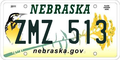 NE license plate ZMZ513