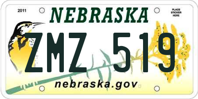 NE license plate ZMZ519