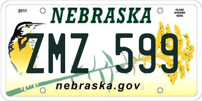 NE license plate ZMZ599