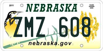 NE license plate ZMZ608
