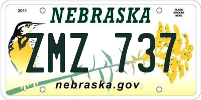 NE license plate ZMZ737