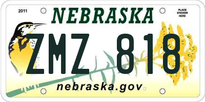 NE license plate ZMZ818