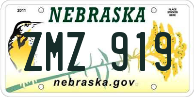 NE license plate ZMZ919