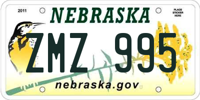NE license plate ZMZ995