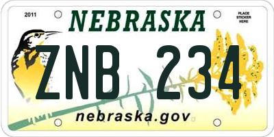 NE license plate ZNB234