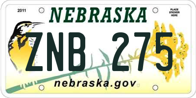 NE license plate ZNB275