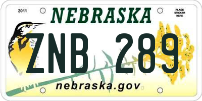 NE license plate ZNB289