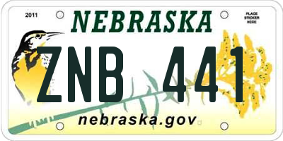 NE license plate ZNB441