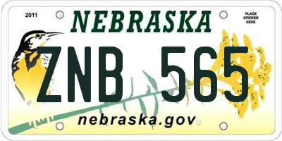 NE license plate ZNB565