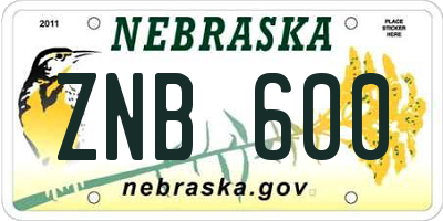 NE license plate ZNB600