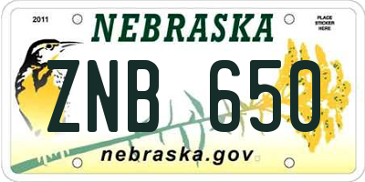 NE license plate ZNB650
