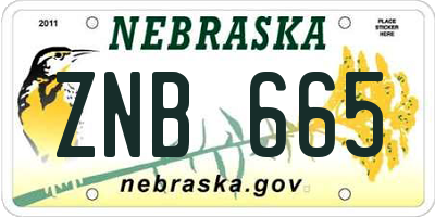 NE license plate ZNB665