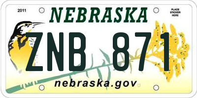 NE license plate ZNB871