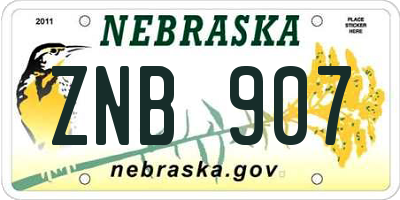 NE license plate ZNB907